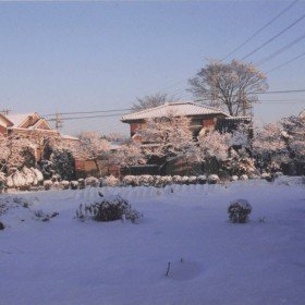 2001-01-21 花の家 雪が積もった畑と母屋