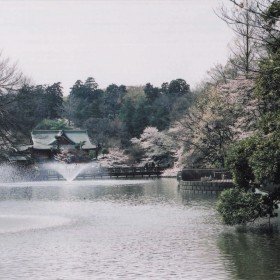 2003-04-01 東京都武蔵野市 井の頭公園 満開の桜と噴水と弁財天