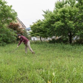 2025-05-18-15;32;39 花の家 母屋前の庭の雑草を刈るCOTA