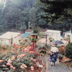 1982-06-01 山形県南陽市 双松公園のバラと坂を下るおばあちゃん<br>おじいちゃんとおばあちゃんの山形旅行