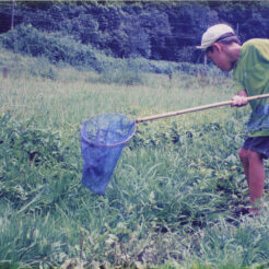 1993-07-02 千葉県内で虫取り<br>千葉（詳細不明）で虫取り