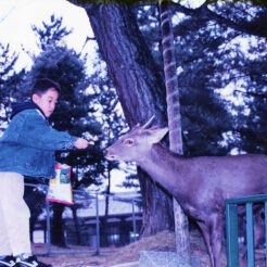 1994-01-06 奈良公園で鹿に餌をあげるCOTA<br>奈良公園で鹿に餌をあげているCOTA