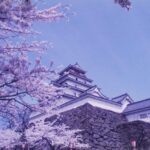城