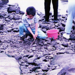 1994-06-28 鎌倉の海岸で磯遊び<br>磯遊びをするCOTA