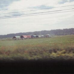 1994-08-06 サロマ湖付近 農園<br>北見・リゾート列車原生花園駅 釧路湿原