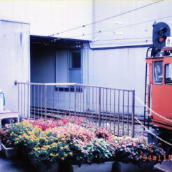1994-11-05 黒部峡谷鉄道 宇奈月駅<br>駅で写真を撮るCOTA
