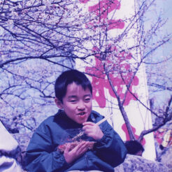 1995-03-17 越生梅林<br>越生梅林で屋台の焼きそばを食べる