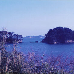 1995-03-28 松島<br>宮城県 松島