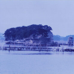 1995-03-29 松島と海苔の養殖<br>松島湾と海苔の養殖