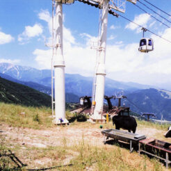 1995-08-18 八方山・ロープウェイ<br>白馬から八方山に至る八方アルペンライン