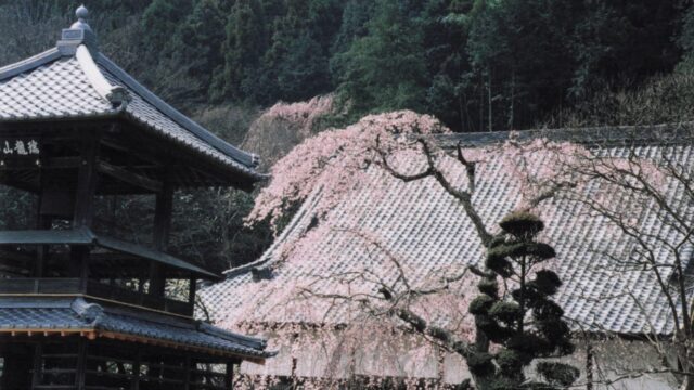 寺院