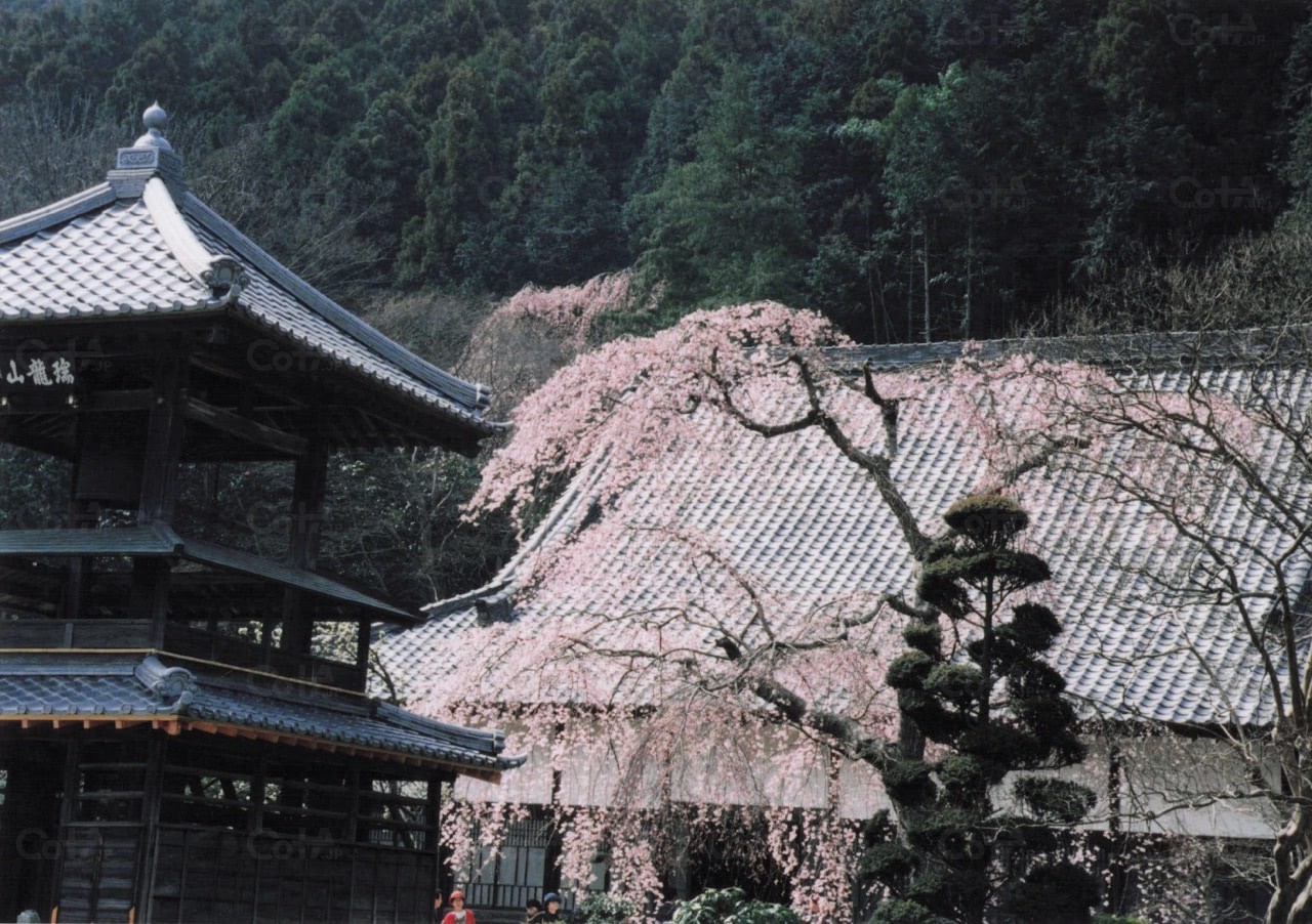 寺院