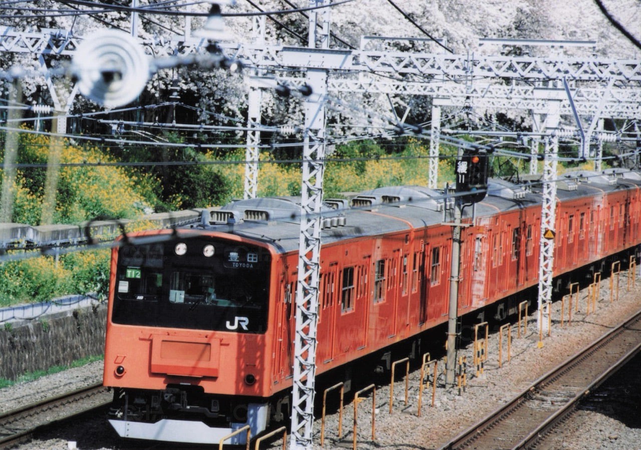 サクラ