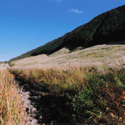 2002-11-20 仙石原高原のススキ<br>箱根・仙石原高原のすすき