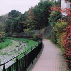 2003-11-24 東久留米市 落合川<br>竹林公園と落合川