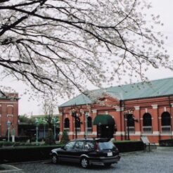 2004-03-31 東京都小平市 がす資料館と桜2<br>白山公園の桜 小金井公園のシダレ桜とヨシノ桜