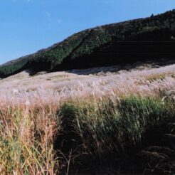 2004-08-08 箱根 仙石原 ススキと山<br>仙石原