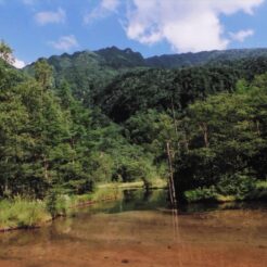 2004-08-04 上高地 田代池<br>河童橋 白樺荘にとまる 3日の夕方 田代池。乗鞍スカイライン デ 花と山