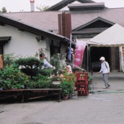 2004-08-04 松本市 亀田屋酒造店とおばあちゃん<br>河童橋 白樺荘にとまる 3日の夕方 田代池。乗鞍スカイライン デ 花と山