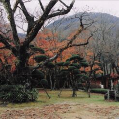 2004-11-01 箱根 富士屋ホテル 紅葉と山<br>紅葉