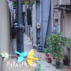 2005-03-25 17-30-51 Rita's Hour<br>Ritaさんのアコースティックライブ