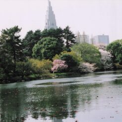 2005-04-09 新宿御苑 春の池<br>桜