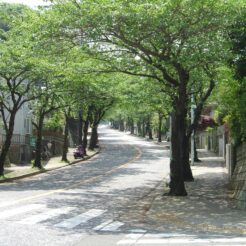 2006-04-30 11-27-22 鷹取山に至る住宅街の道<br>神武寺駅へ至るまでの鷹取山登山