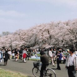 東京市町村