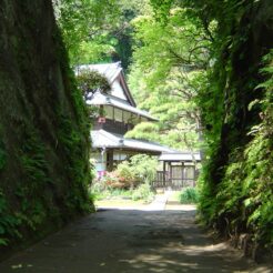 2006-04-30 13-12-02鷹取山の切り通し<br>神武寺駅へ至るまでの鷹取山登山