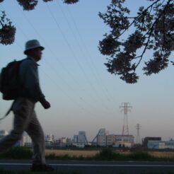 2006-04-03 17-46-34多摩川の桜と歩く人<br>春の多摩川沿いの土手