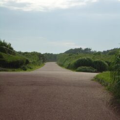 2006-06-17 16-44-25城ヶ島の公園<br>通り雨が過ぎ去って見通しの良くなった城ヶ島公園内の道