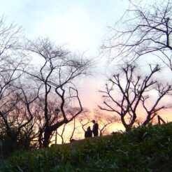 2007-02-02 17-02-33飯田橋の外堀付近<br>学校帰りの風景