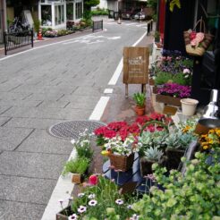 2007-04-22 14-23-12本町の花屋<br>選挙に行った後で元町や山手の西洋館周辺を歩いた