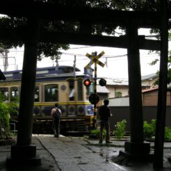 2007-06-10 14-04-08御霊神社の踏切と江ノ電<br>鎌倉から江ノ電と湘南モノレールで大船に向かい、そこからホリデー快速に乗った