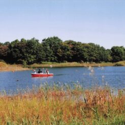 2007-11-01 昭和記念公園 池とボート<br>景色