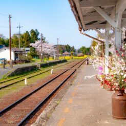 2008-04-06-14-38-04 里見駅の花の飾り<br>小湊鉄道と桜の風景を撮りに