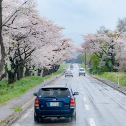 2008-04-27 13-43-20小岩井農場近くの道<br>花巻と小岩井の一本桜の旅