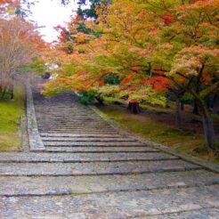 2008-11-24-10-45-55東大寺<br>奈良をひとり旅