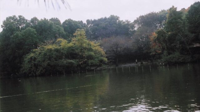 池