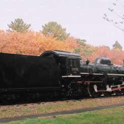 2009-11-28 小金井公園 SL・蒸気機関車<br>小金井公園