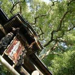 2010-02-07 16-10-48 神保原 金鑚(かなさな)神社<br>埼玉県内の高崎線沿線の神社を巡った