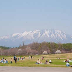 2010-05-05-11-59-30怖い農場の野原でくつろぐ人々<br>岩泉の龍泉洞と岩泉線、盛岡の桜と小岩井農場を巡る