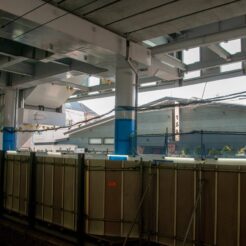 2011-02-27-13-14-30 雑色駅 地上の上りホームから解体された下りホーム側を見る。壁が完成していないため居酒屋が見える<br>横須賀に向かう途中