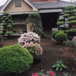 2011-07-03 花の家 玄関前の様子<br>花の家の景色