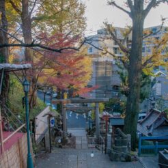 2011-12-10-15-54-00三田の神明神社からの景色<br>麻布十番から東京タワー、浜松町までの散歩