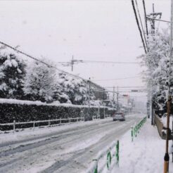 2012-02-20 花小金井 花の家付近の東京街道に積もった雪<br>雪が降っている花小金井と花の家