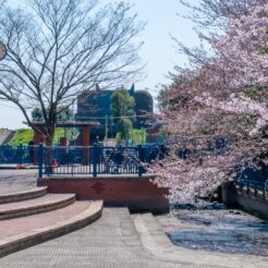 2012-04-08-10-32-34六郷水門と桜<br>土手の桜を見ながら花小金井へ向かった