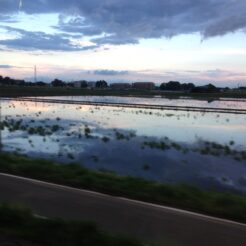 2012-05-04 18-06-10両毛線 水田を走る<br>八高線と両毛線を辿る旅