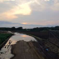 2012-06-17 18-18-04三崎口 水面に映る空と田園風景<br>三崎の黒崎の鼻で夕焼けを見る