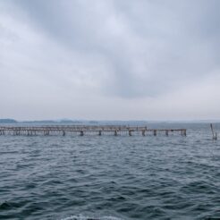 2012-08-12-13-33-31松島港 東日本大震災後、海苔の養殖が再開していた<br>仙台から松島を経て南三陸に泊まり、志津川や釜石・宮古・小本までの震災の傷跡をみる旅